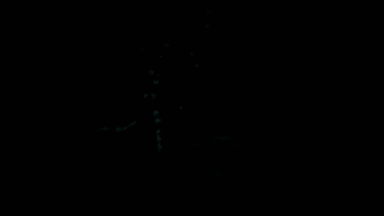 Slender Game Ruining Bug/Glitch