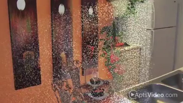 Ashford Place Apartments in Tampa, FL - ForRent.com