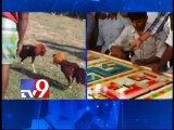 Politicians and Celebs participate in cockfights in Andhra