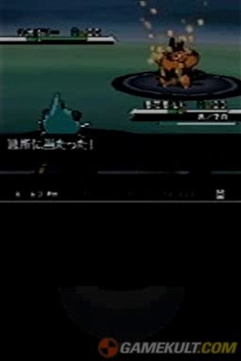 Pokémon Version Blanche - Un combat qui a du chien