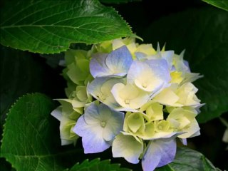 sinan toprak beni benden başka soran olmamış