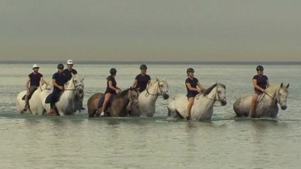 A searing heatwave hits Australia