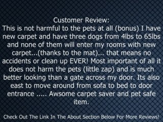 PetSafe ScatMat Electronic Pet Training Mat, Small Review