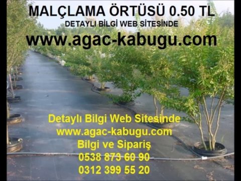 malçlama-örtüs-yer-örtüsü-yabancı-ot-örtüsü