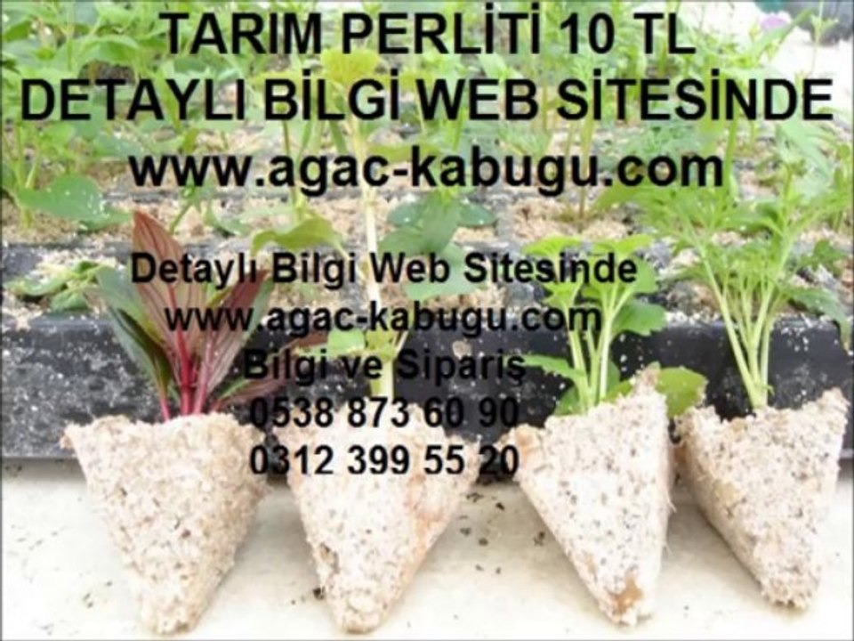 tarım perliti fiyatları tarım perliti fiyatı tarım perliti satış - Kopya