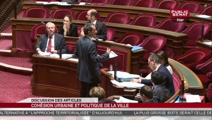 Projet de loi de programmation pour la ville et la cohésion urbaine - En séance