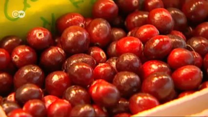 معجنات شهية من زالتسبورغ النمساوية | يوروماكس