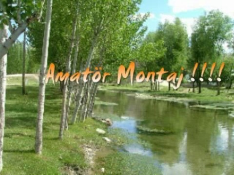 Ali Dedeoglu - Yavuz Elinde