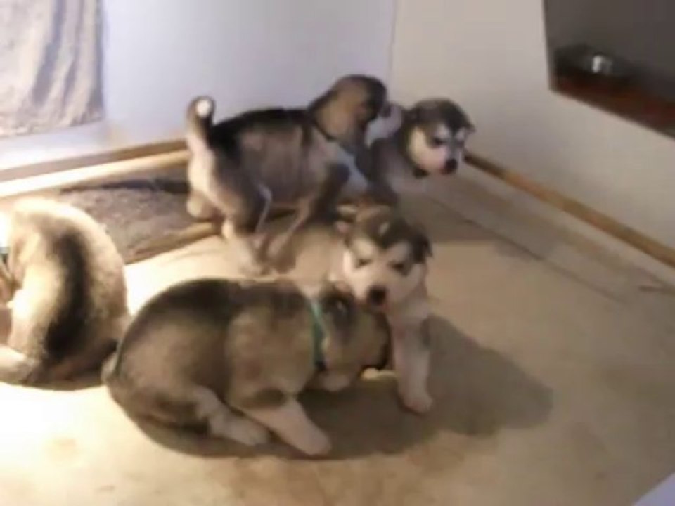 sa marche et sa joue