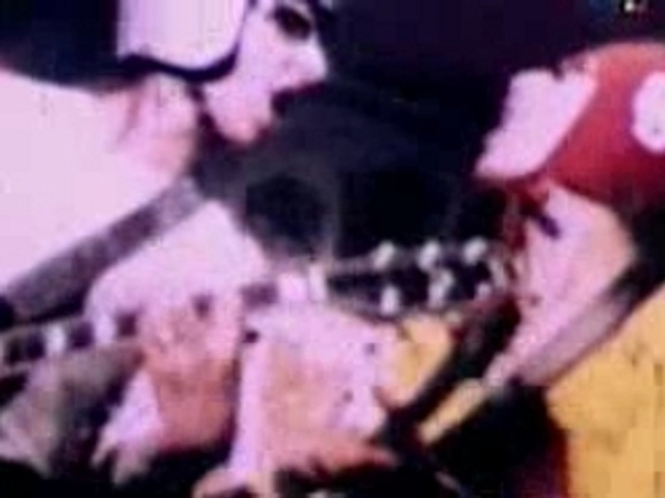 Mudhoney my generation