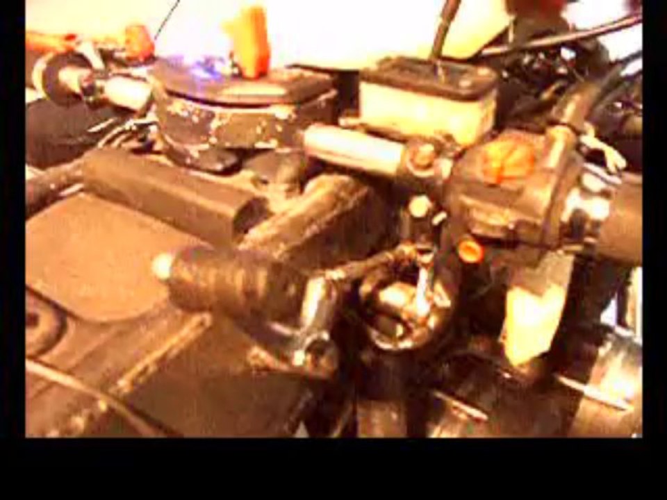 K1 schreit nach nee Wiese 2014