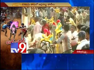 All set for Jallikattu bull fight in Chittoor