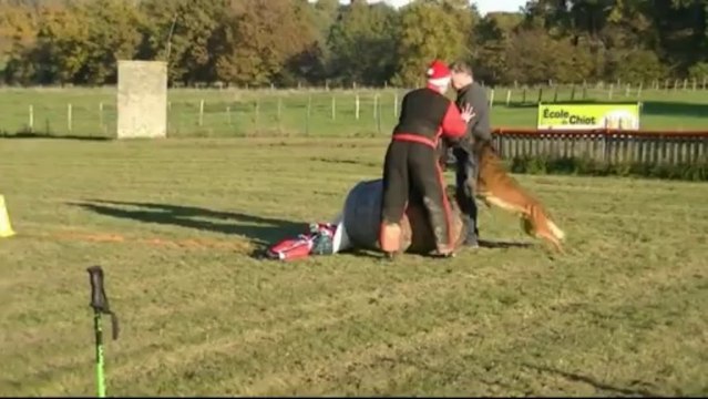 Gadjo, Mondioring Tresses 2013