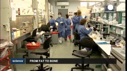 "Creost", reconstruir un hueso a partir de células adiposas