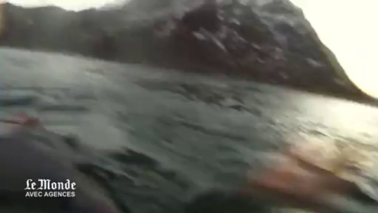 Un kayakiste nez à nez avec un banc de baleines