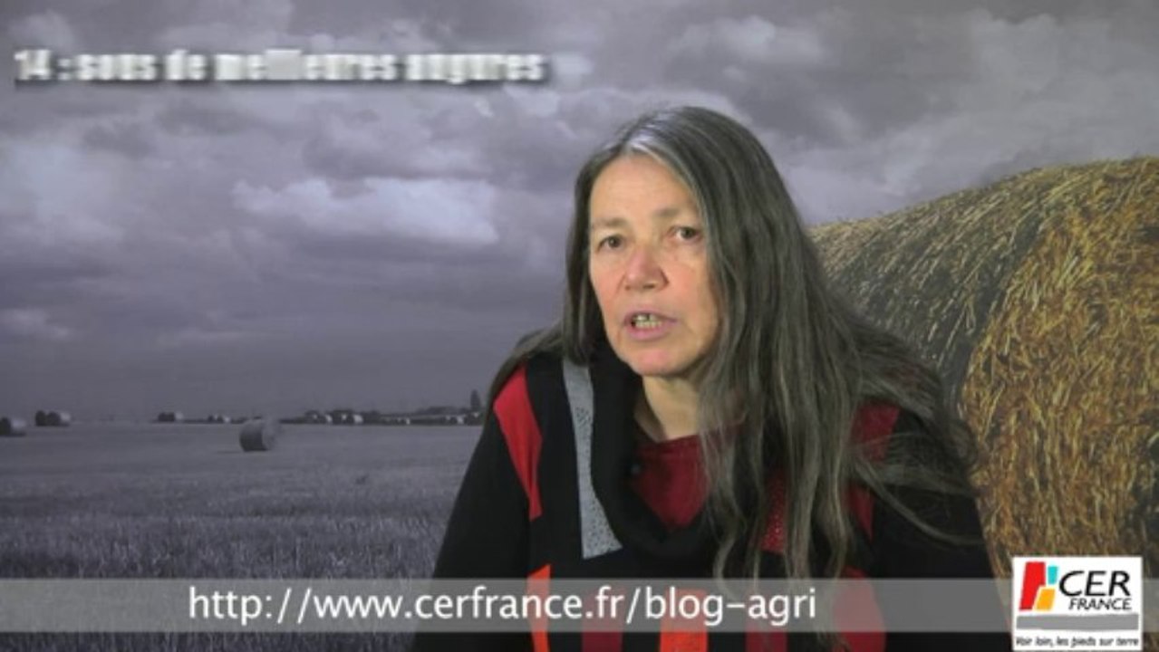 Production porcine : Les producteurs oscillent entre optimisme et pessimisme depuis le début 2013 par Anne-Yvonne Hénot