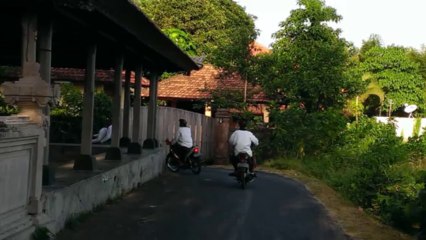 Une histoire de Cerf-Volant