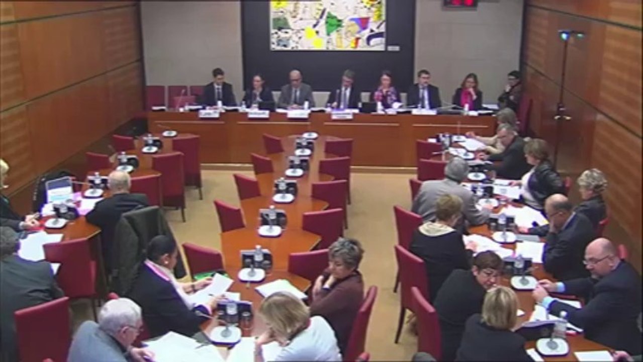 Intervention d'Hervé Féron en Commission des Affaires Culturelles et de l'Education : rapport sur "l'apport de la culture à l'économie en France"