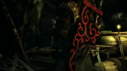The Witcher 2 : Assassins of Kings - Real Time Cut Scene Trailer