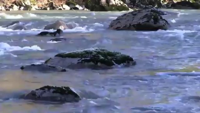 TREWAR - FLOW WITH IT - RIVERS water water water