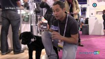 la minute CES S01E18 : La télécommande et le GPS pour chien (Tractive)