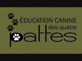 Dressage chien: la cage, les aboiement et avoir un meilleur lien avec son chien.