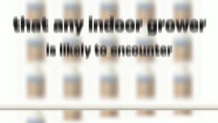 controlling fungus gnats : CX Hydroponics