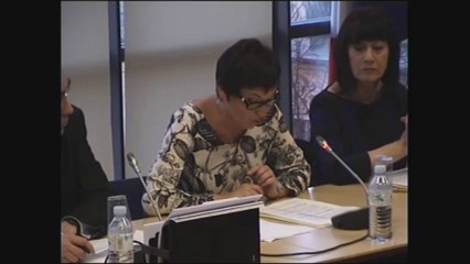 Préjudice aux transporteurs aériens - Mardi 14 Janvier 2014