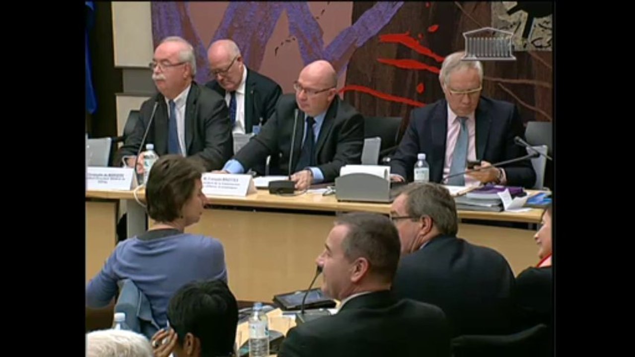 Audition de M. Christophe de Margerie, Pdg de Total - Mercredi 15 Janvier 2014