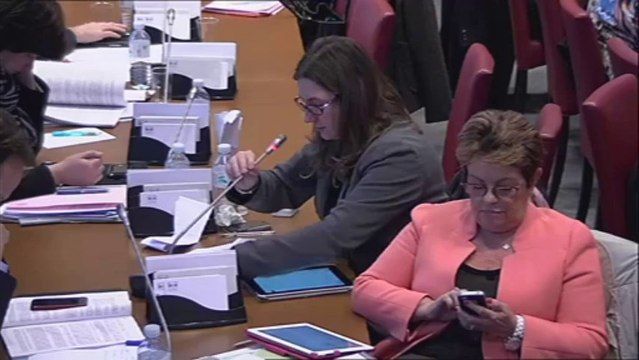 Formation professionnelle, emploi et démocratie sociale (CFDT, CFE-CGC, CFTC, CGT-FO) - Mercredi 15 Janvier 2014