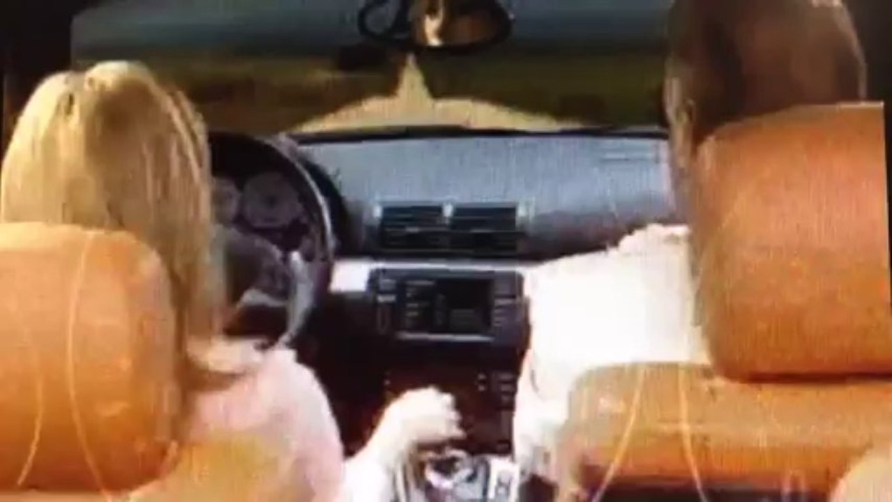 kranthi's video from 30 December 2013 3:53 pm