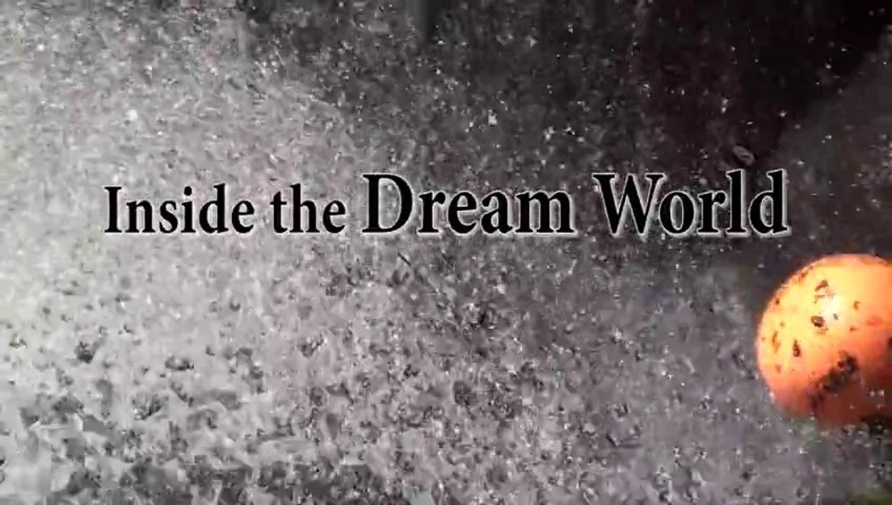 Inside the dream world