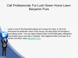 Call Professionals For Lush Green Home Lawn Benjamin Pure