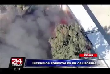 Estados Unidos: incendio forestal consumió 15 casas en California