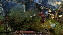 Grim Dawn - Premiers pas, premiers tirs (Demolitionist)