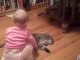 Küçük Çocuğun Kedi Sevgisi