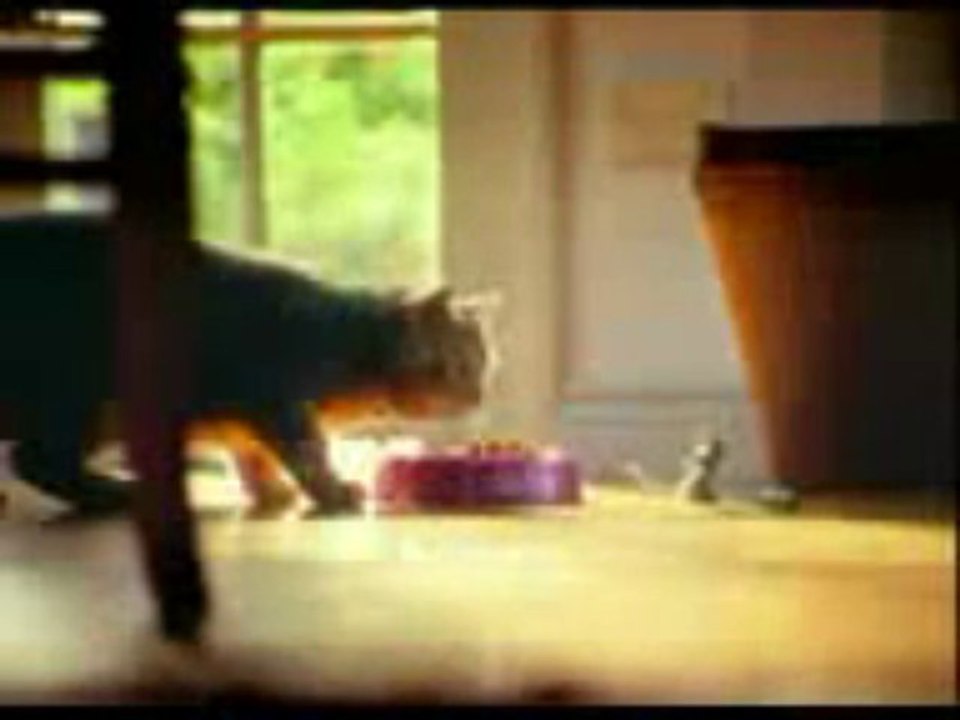 Mışku pişik, kedi ile fare, komik kedi, komik fare, kürtçe kedi fare 3gp_2