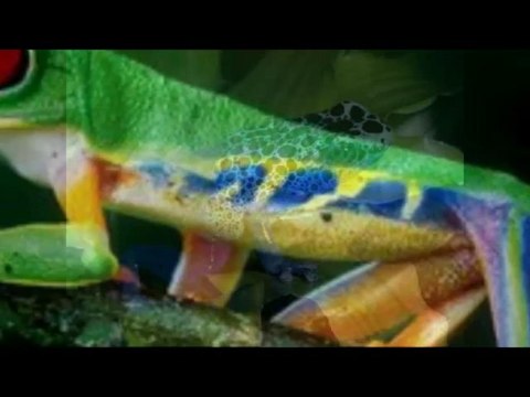 Water Contamination It Came in the Rain 100bpm_RetroDan@GMail.com (Kraftwerk, Pink Floyd, Daft Punk)