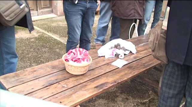 Marché aux truffes de Lalbenque et démonstration de cavage au cochon !