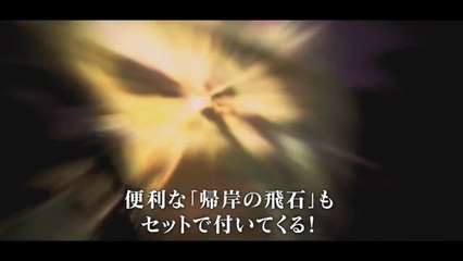 Dragon's Dogma : Dark Arisen - Fighter Ring Set Skills