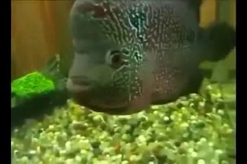 ALLAH ALLAH ka karishma - YouTube