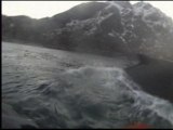 Vidéo amateur d'un kayakiste norvégien qui se fait surprendre par un groupe de baleines - 16/01