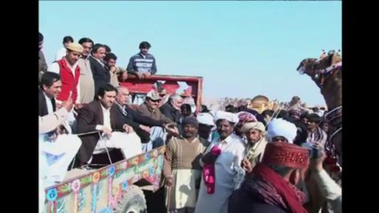Camel festival in Pakistan pulls in the crowds