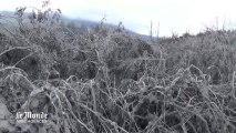 Paysages post-apocalyptiques aux abords du volcan Sinabung en Indonésie