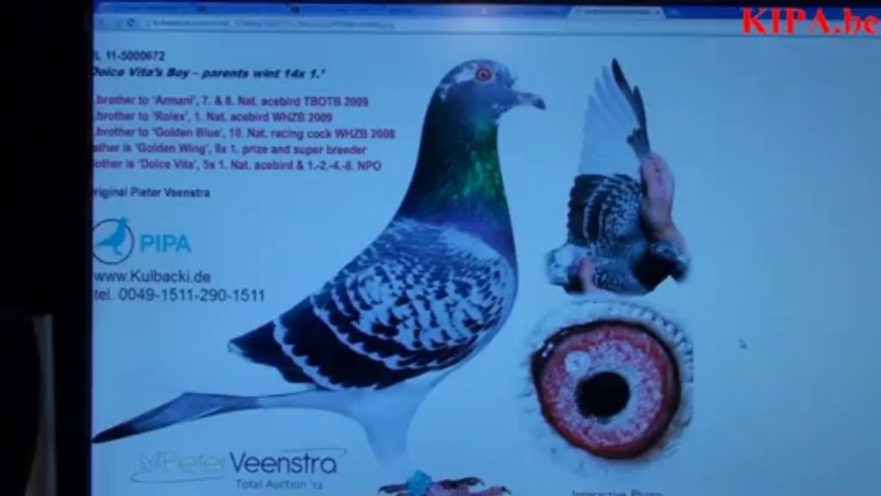 6696,Dolce Vita,Special Blue,Da Vinci,Golden Wing,Mr.Blue,Yzra Kanibal,Kleine Dirk,Beatrixdoffer