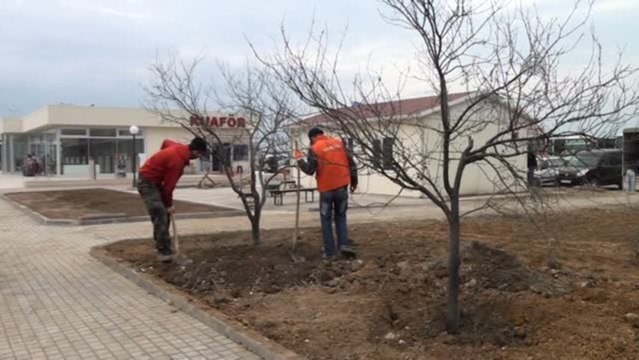 Alaplı Belediye Başkanı Çimenoğlu Açıklaması