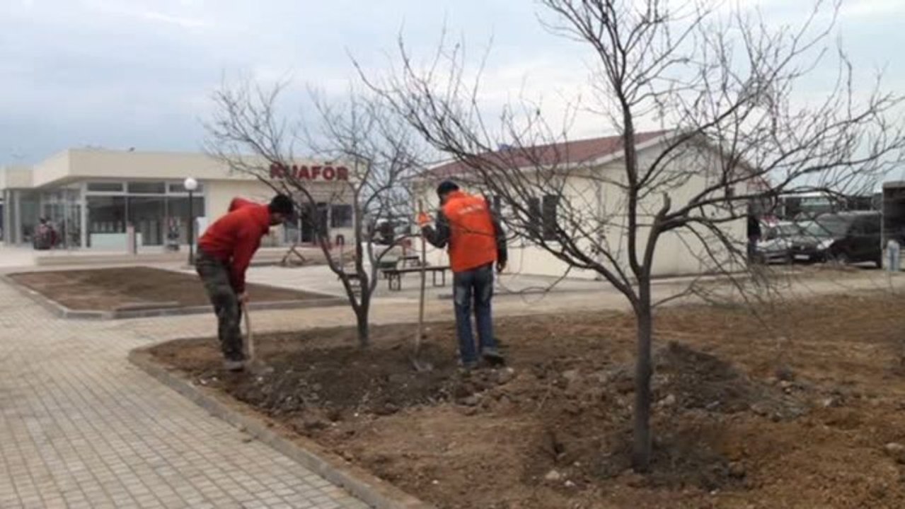 Alaplı Belediye Başkanı Çimenoğlu Açıklaması