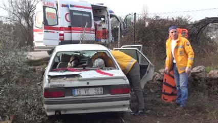 Orhangazi'de Otomobil, Zeytin Ağaçlarına Çarptı: 2 Yaralı
