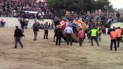 Bayramiç'te "3. Geleneksel Deve Güreşi Festivali" -