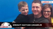 Dikkat Hayvan Çıkabilir!